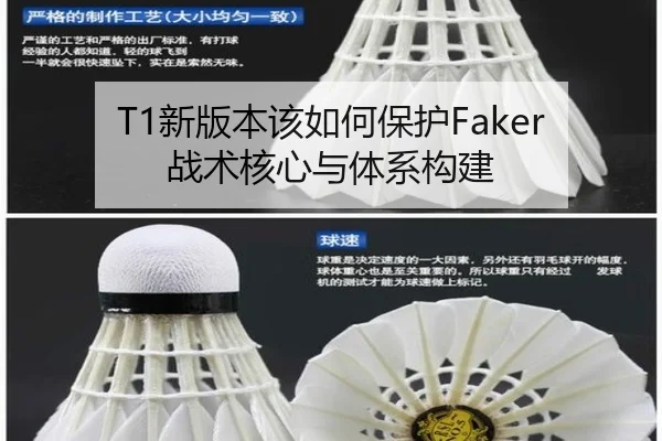 T1新版本该如何保护Faker战术核心与体系构建